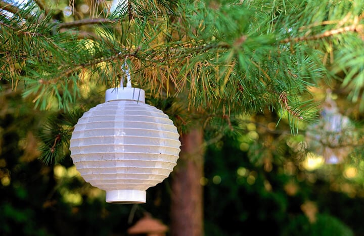 lampion